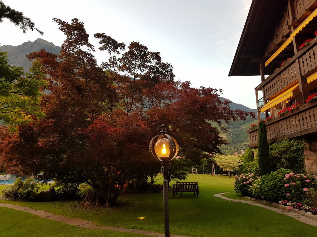 Hotel Wiesenhof主图