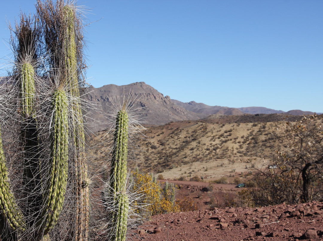 Monumento Natural Pichasca景点图片