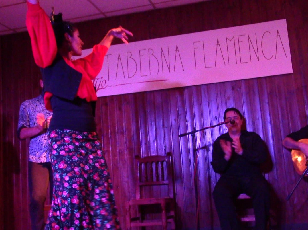 Taberna Flamenca El Cortijo景点图片