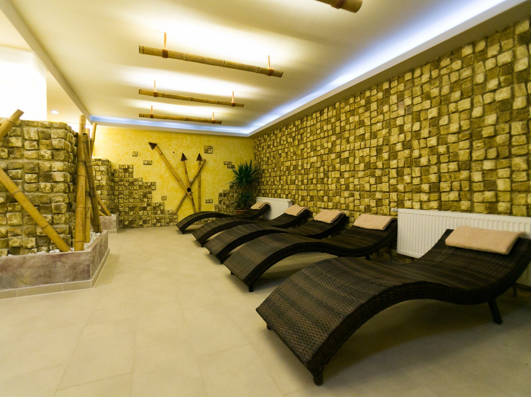 Spa Hotel Paradise主图