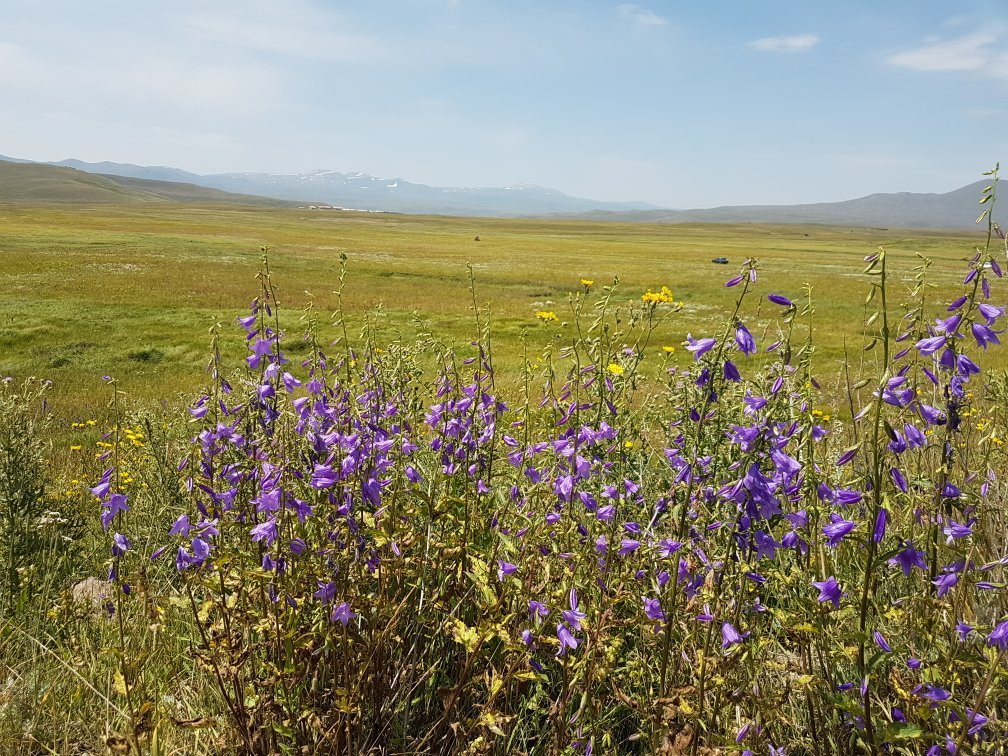 Vardenyats Pass (Selim Pass)景点图片