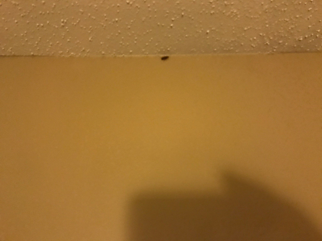 Super 8 by Wyndham Sparta主图