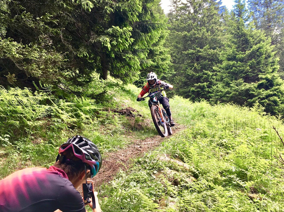 Andreis Specialized store & more-Male必去景点