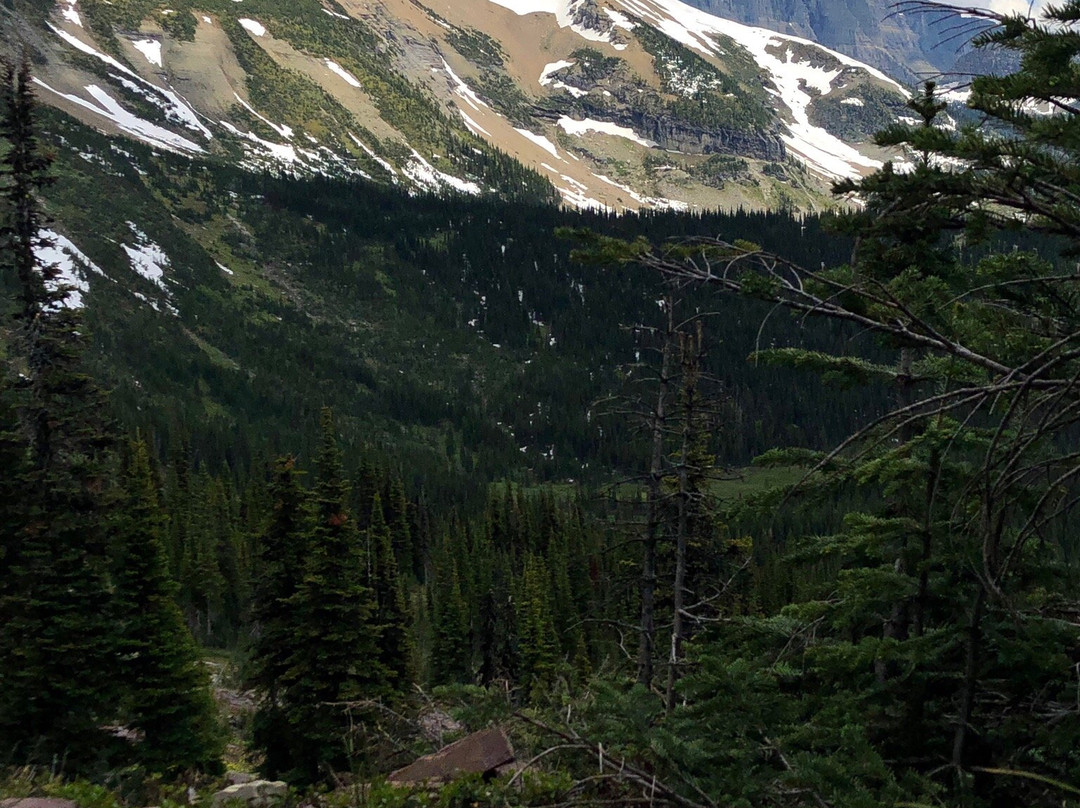 Granite Park Trail景点图片