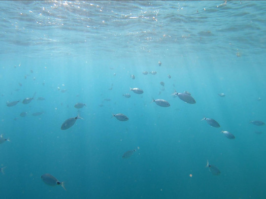 Kayaking Pula and Banjole-普拉必去景点