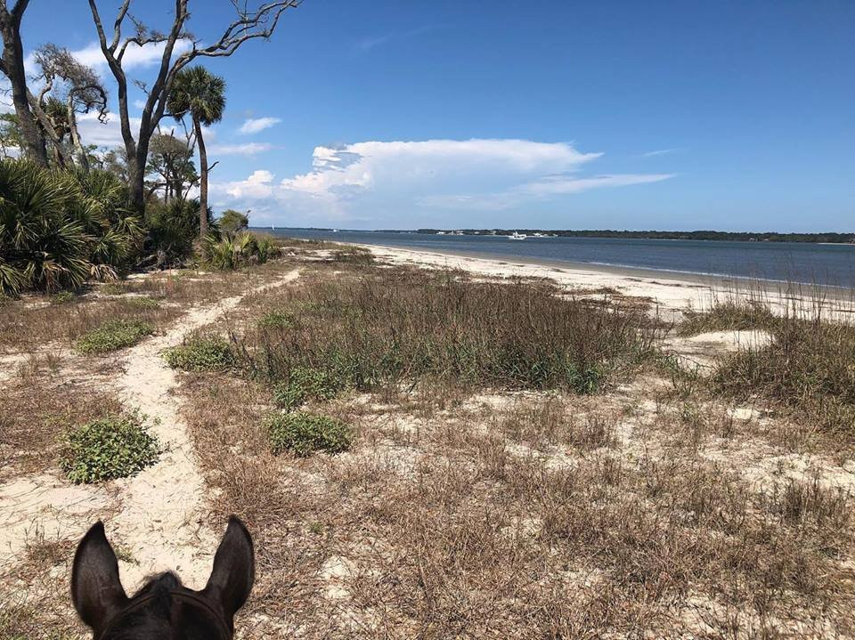 Daufuskie Trail Rides-Daufuskie Island必去景点