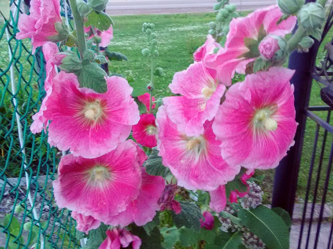 Time Travellers Motel主图