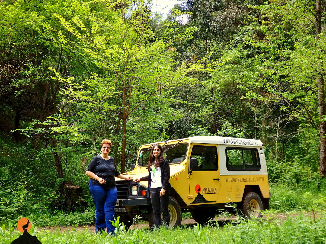 Aventuras Forte(s) - Turismo de Natureza-科英布拉区必去景点