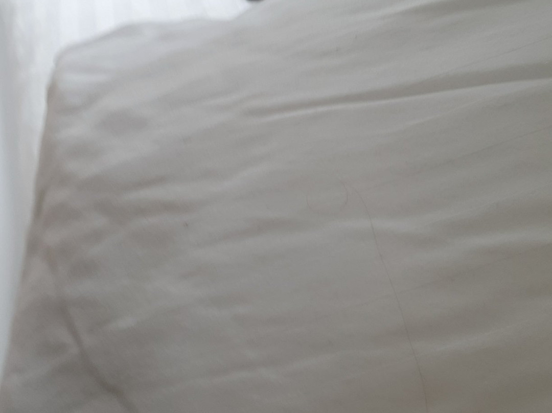 West Park Guesthouse主图