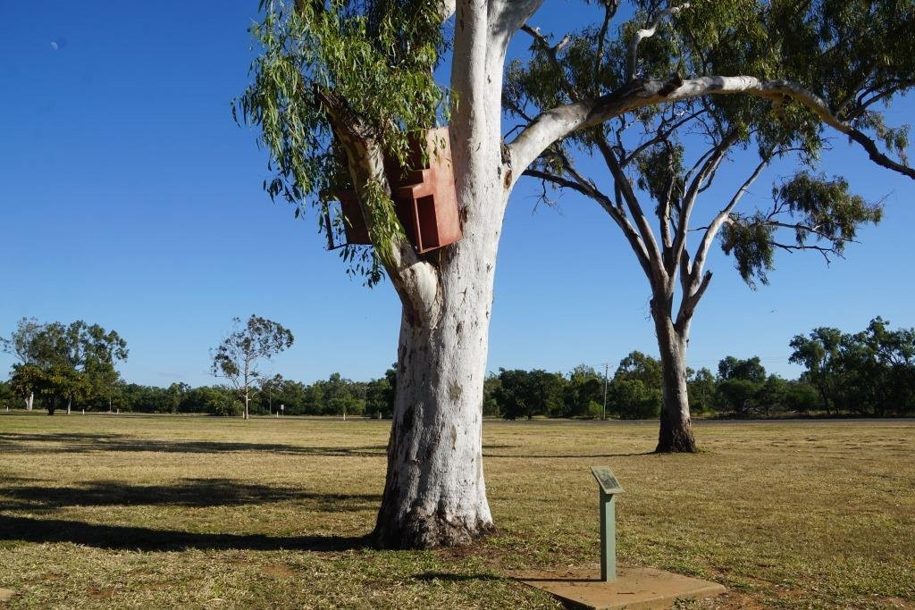 The Stump Flood Memorial-Clermont必去景点