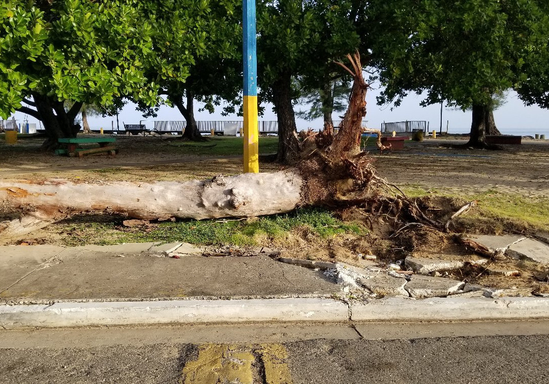 Colon Park-Aguadilla必去景点