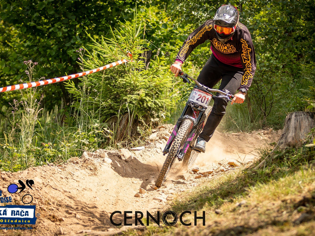 Bike Park Snowparadise Velka Raca-Oscadnica必去景点