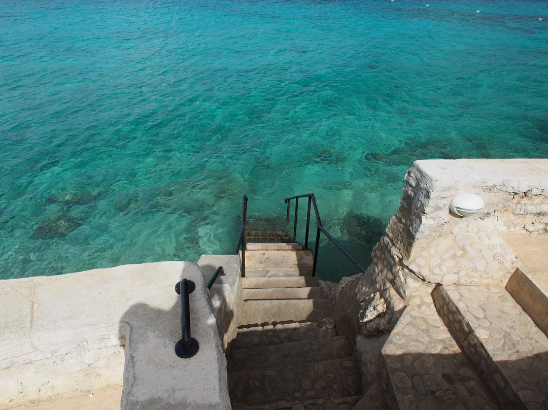 Sand Dollar Bonaire主图