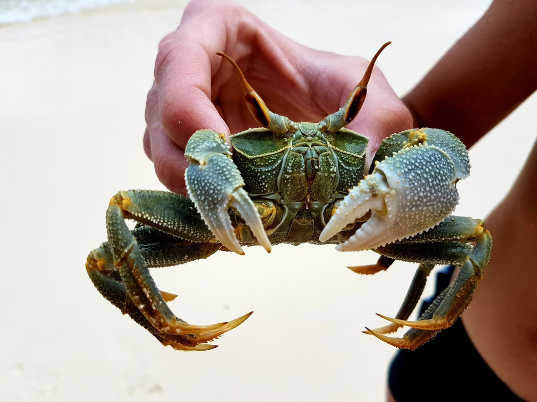 Thérèse Island-Port Glaud必去景点
