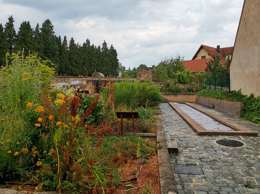 Mittelalterlicher Garten-Rosheim必去景点