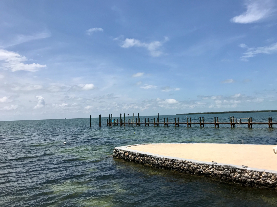 Best of Both Worlds主图