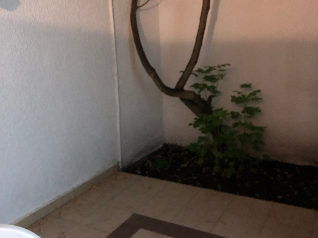 Hotel Slovenska Plaza主图