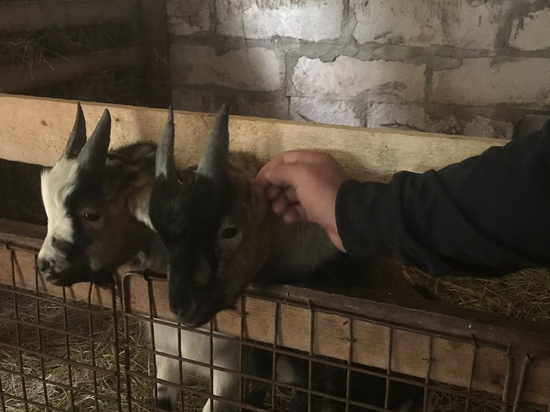 Uue-Kuristu OÜ-Aasmae必去景点