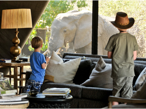 Machaba Camp - Machaba Safaris