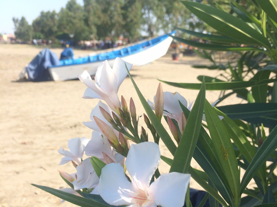Gisoom Beach景点图片