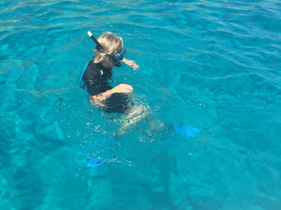 Cala d'Oliva Diving Center-Cala d'Oliva必去景点