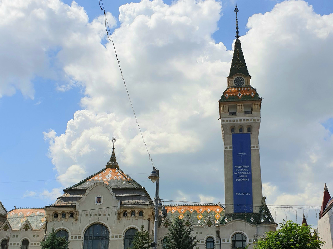 Targu Mures City Hall景点图片