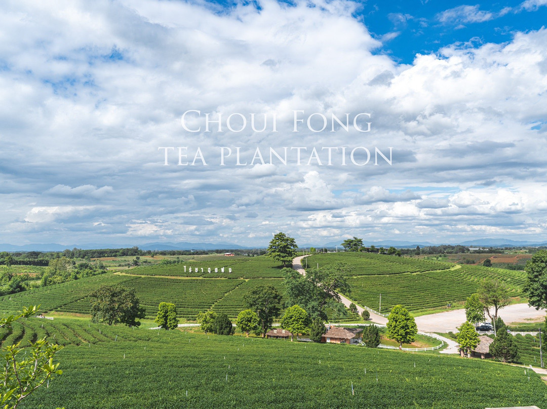 Nok's Garden Resort主图