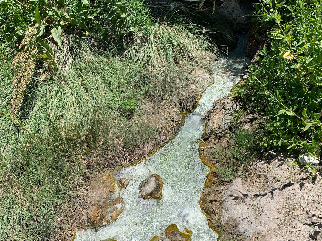 Thermopolis-Hot Springs Chamber of Commerce-瑟莫波利斯必去景点