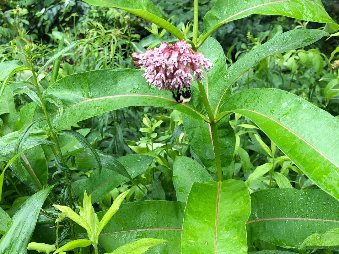 Natural Lands' Mariton Wildlife Sanctuary-Riegelsville必去景点