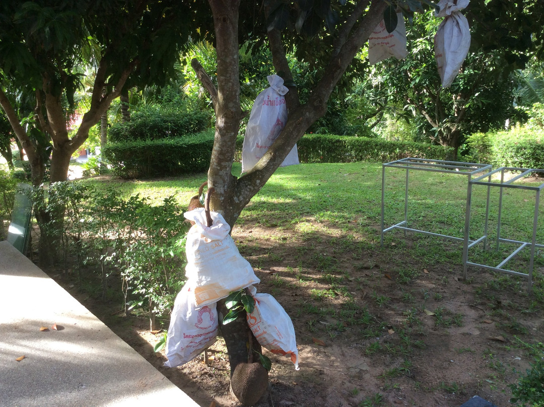 The Fisherman's Chalet 2主图