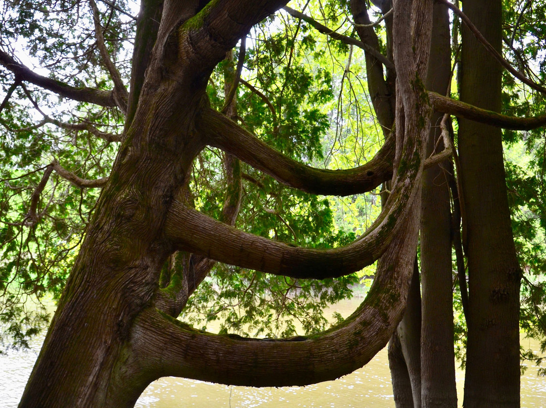 Edenvale Conservation Area景点图片