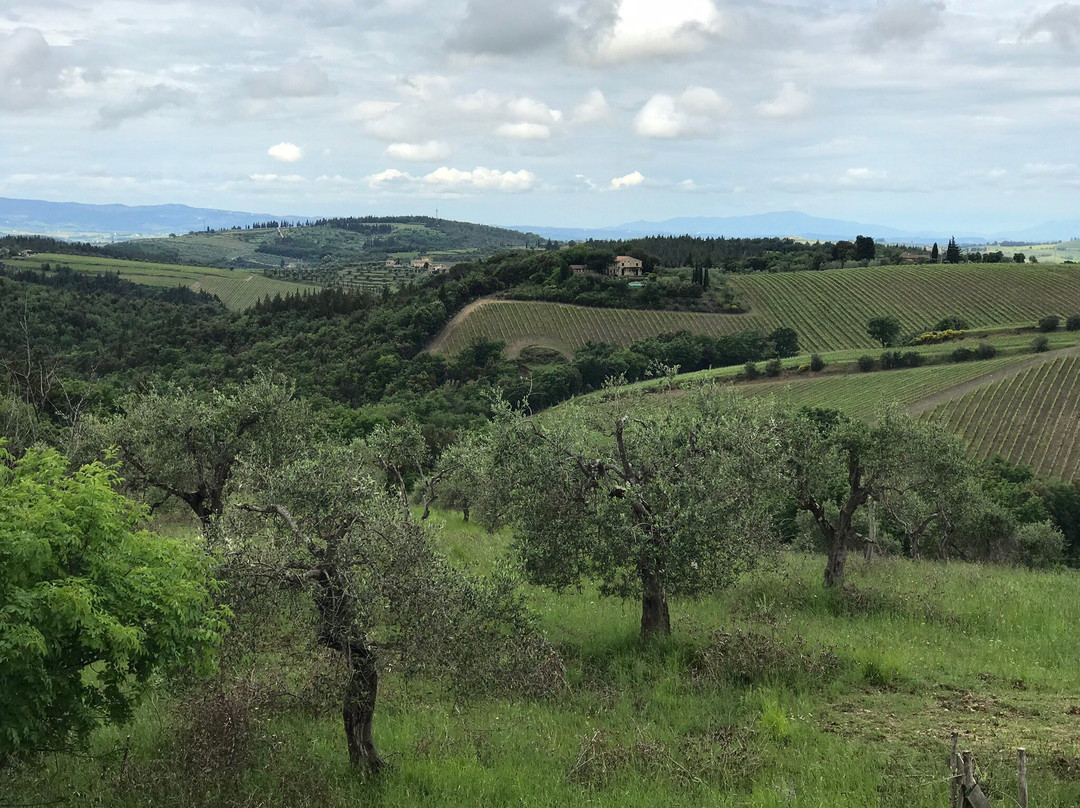 Podere Patrignone主图