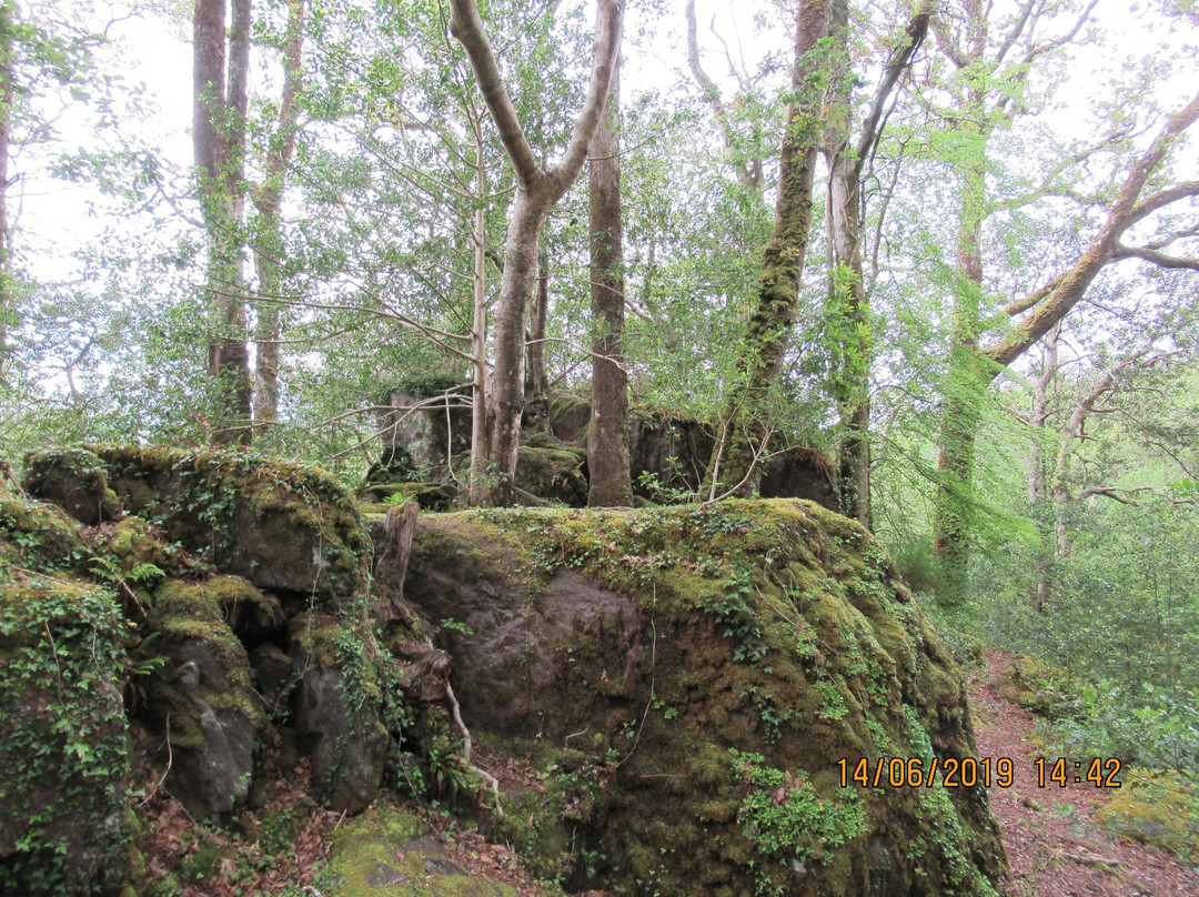 Glengariff Woods景点图片