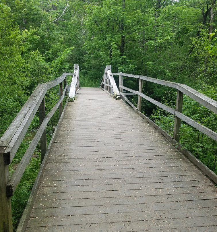 Pratt's Brook Park-Yarmouth必去景点