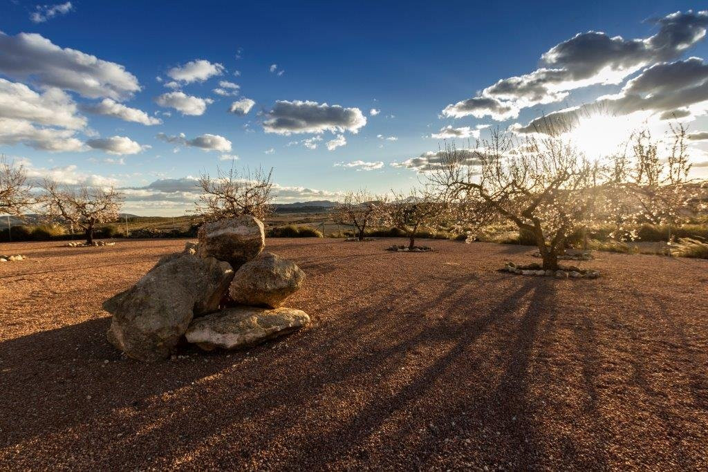 The Yoga Centre Dorking-多肯必去景点