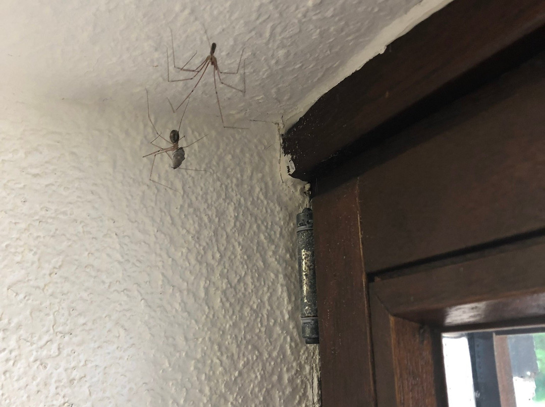 Hotel Pension Winzerhaus主图