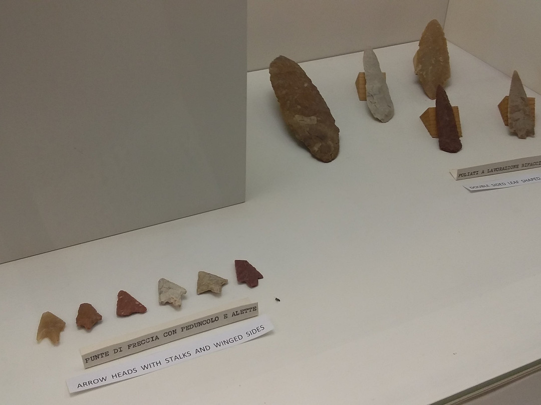 Museo Civico Archeologico "Cesare Cellini"-里帕特兰索内必去景点