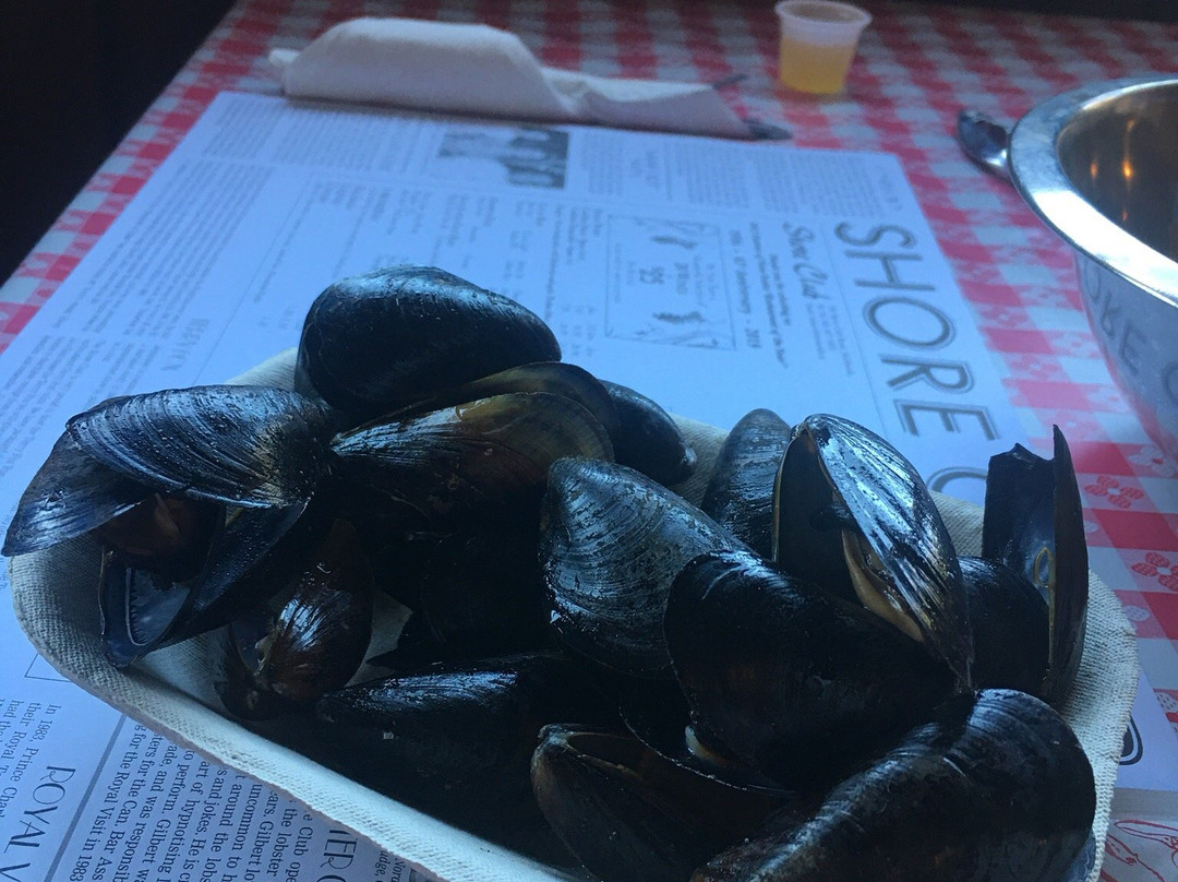 Shore Club-Hubbards必去景点