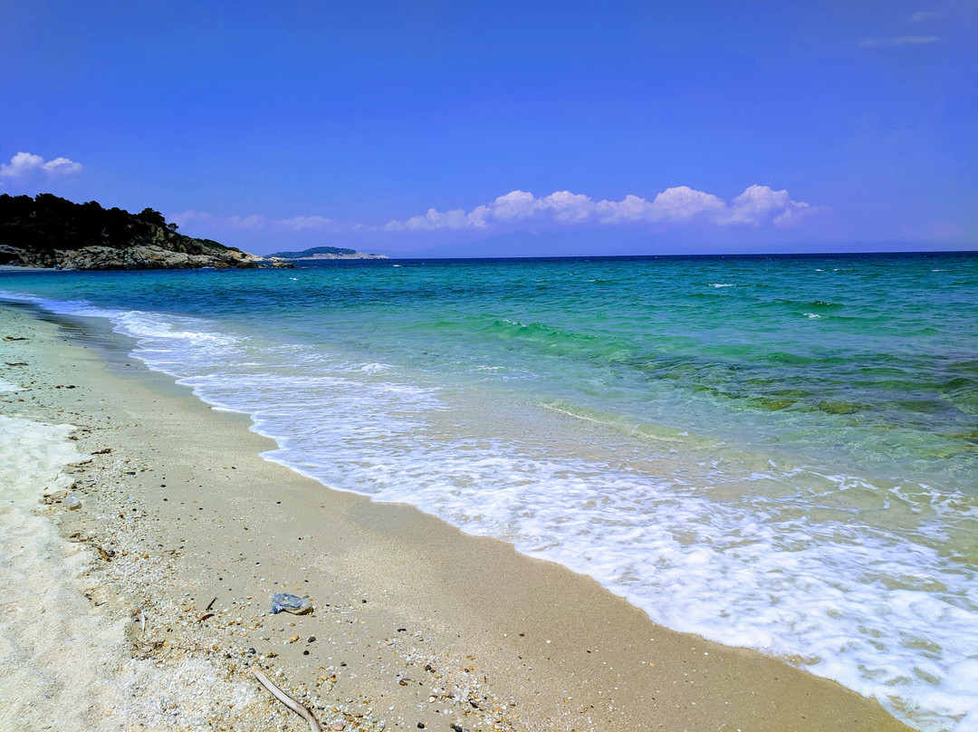Proti Ammoudia Beach景点图片