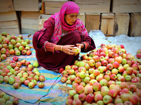 Delight Vacations-阿格拉必去景点