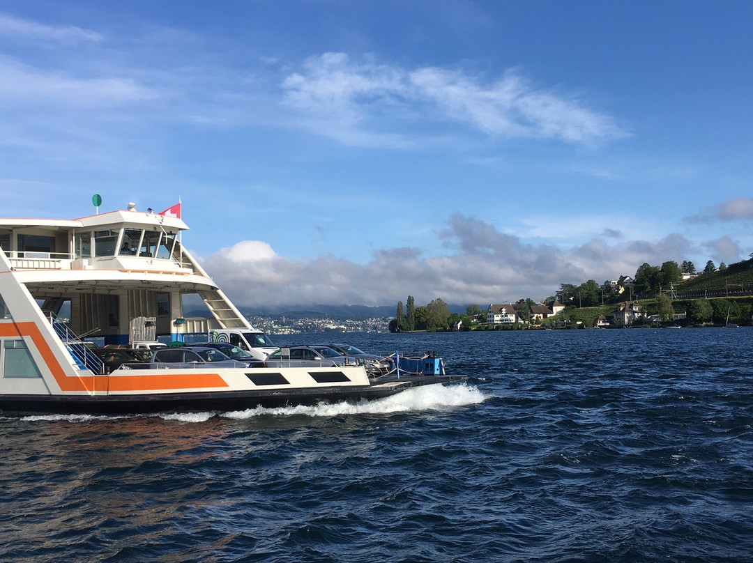 Fahre Horgen-Meilen