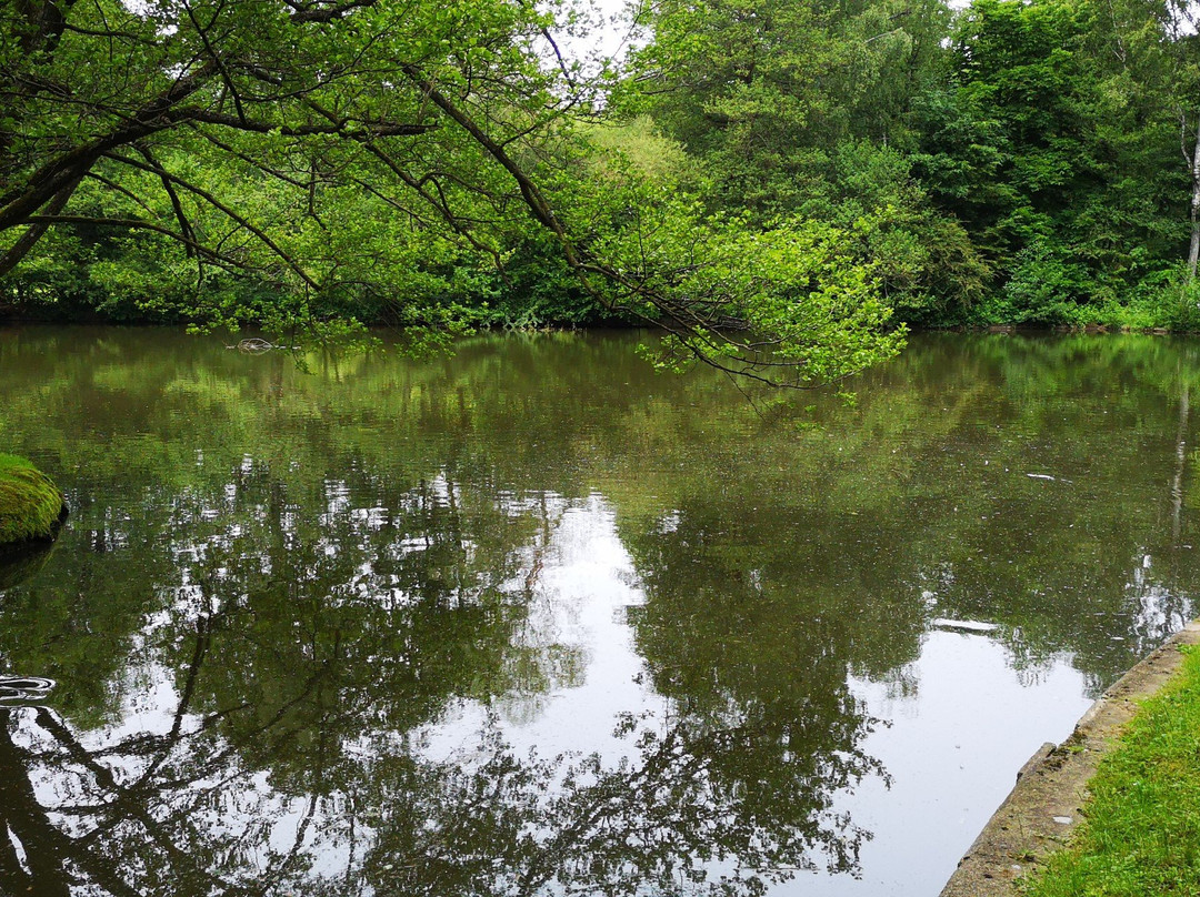 Hotel Restaurant Herrmannsee主图