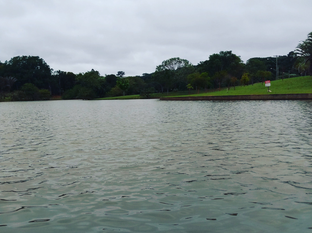 Parque Ecologico Monsenhor Emilio Jose Salim-坎皮纳斯必去景点