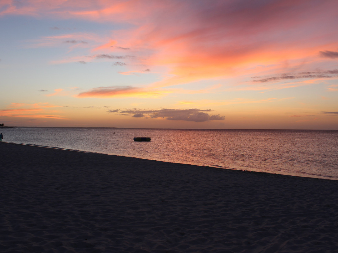 Tropical Shades-普罗维登西亚莱斯必去景点