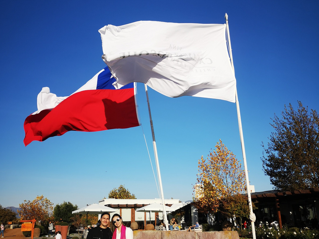 Viña Casas del Bosque-卡萨布兰卡必去景点