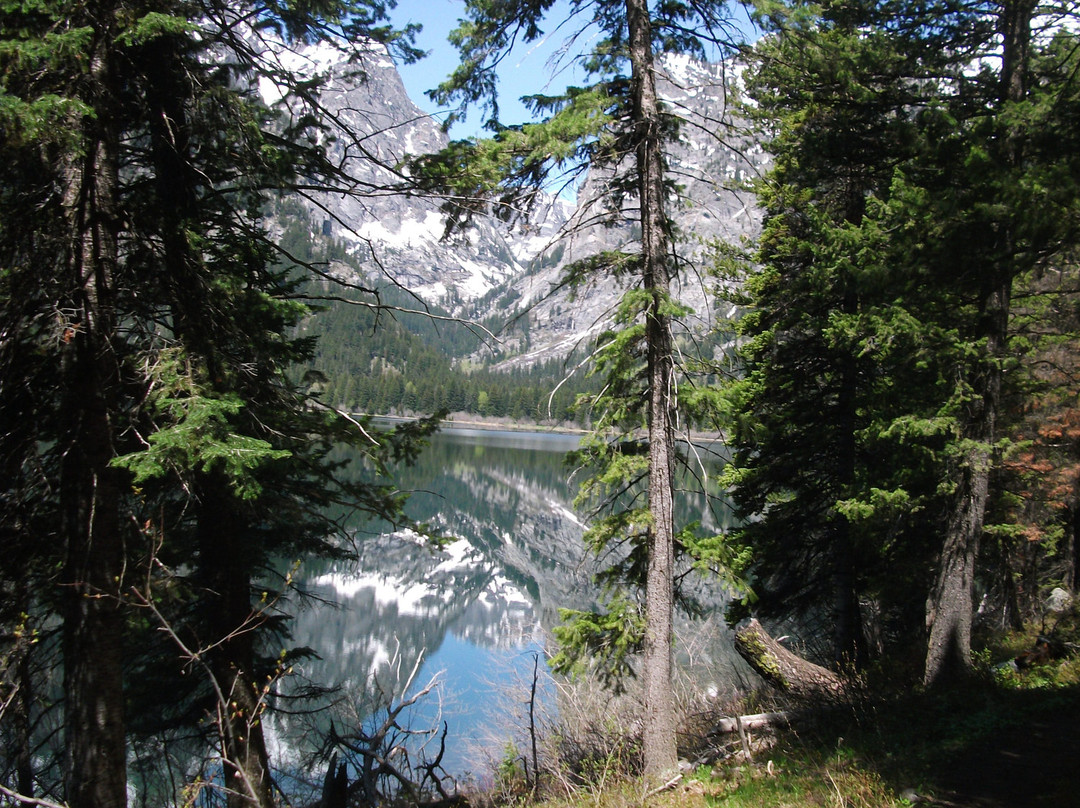 Phelps Lake Trail-大提顿国家公园必去景点