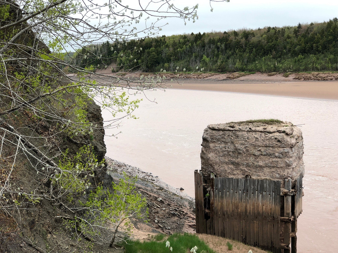 Blue Diamond Tours-哈利法克斯必去景点