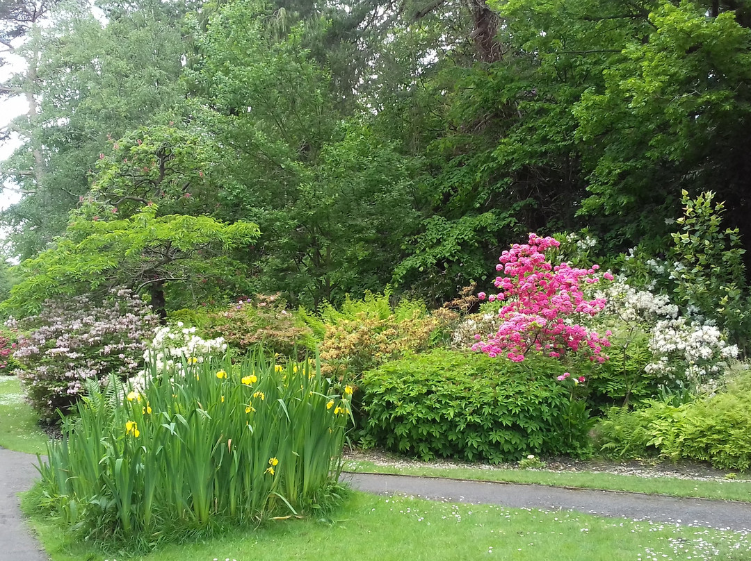 Coy Pond Gardens景点图片