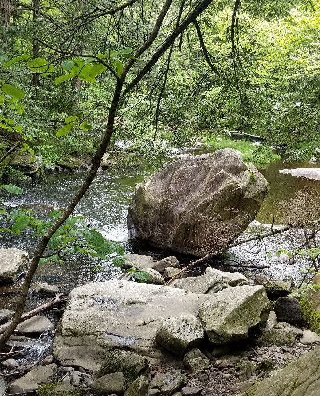 Wahconah Falls State Park景点图片