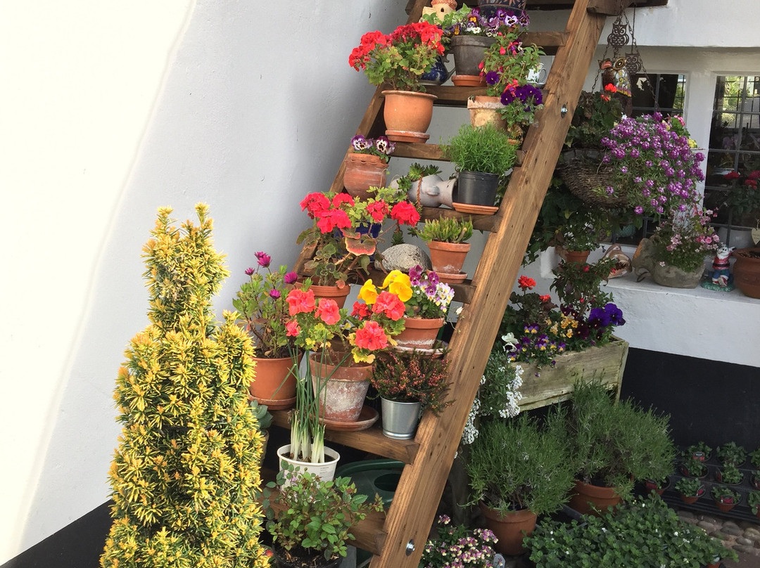 Farmhouse Cottage Bed and Breakfast主图